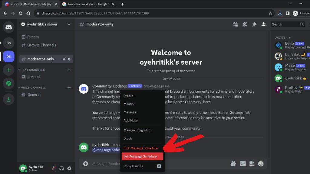 ban user discord without server